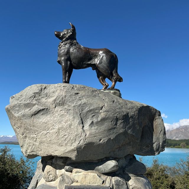 The Sheepdog Memorial @ Lake Tekapo