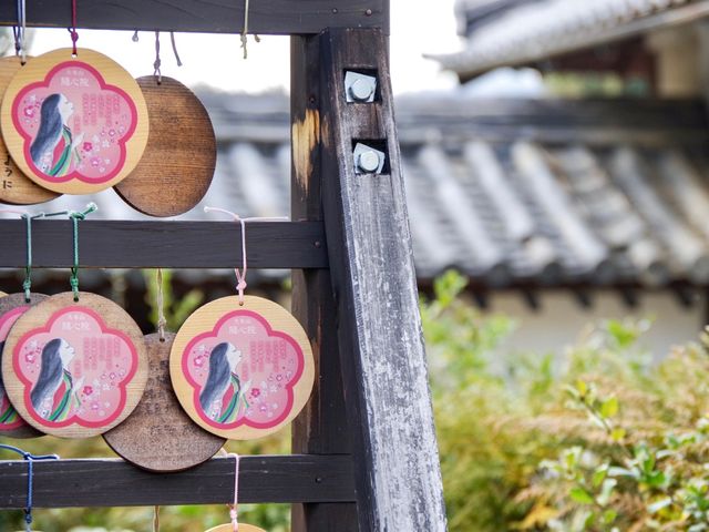 【京都市】艶やかなアートが誘うお寺🎨