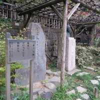 深大寺參拜之旅⛩🙏