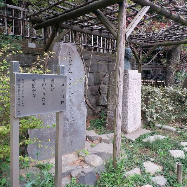 深大寺參拜之旅⛩🙏