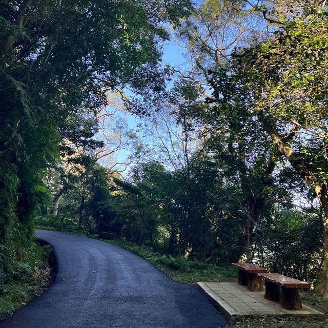 百吉林蔭隧道