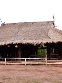 Akha Farmville ฟาร์มแกะ