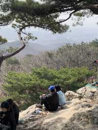 초보도 충분히 등산할 수 있는 서울 근교 광교산 형제봉 코스 ⛰️