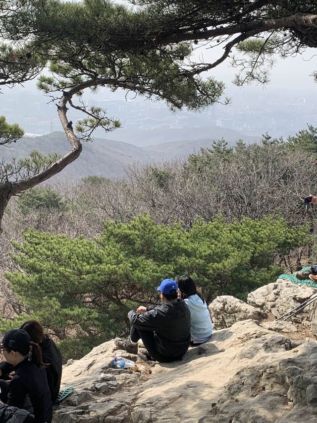 초보도 충분히 등산할 수 있는 서울 근교 광교산 형제봉 코스 ⛰️