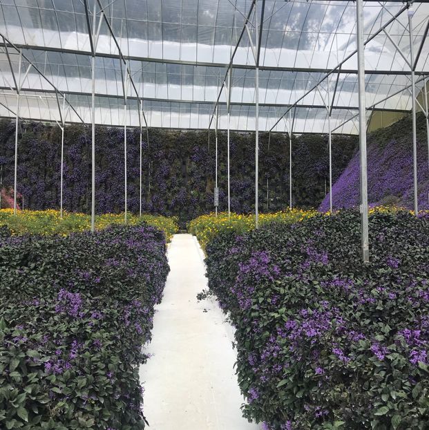 Flora Park: flowers paradise 🤩