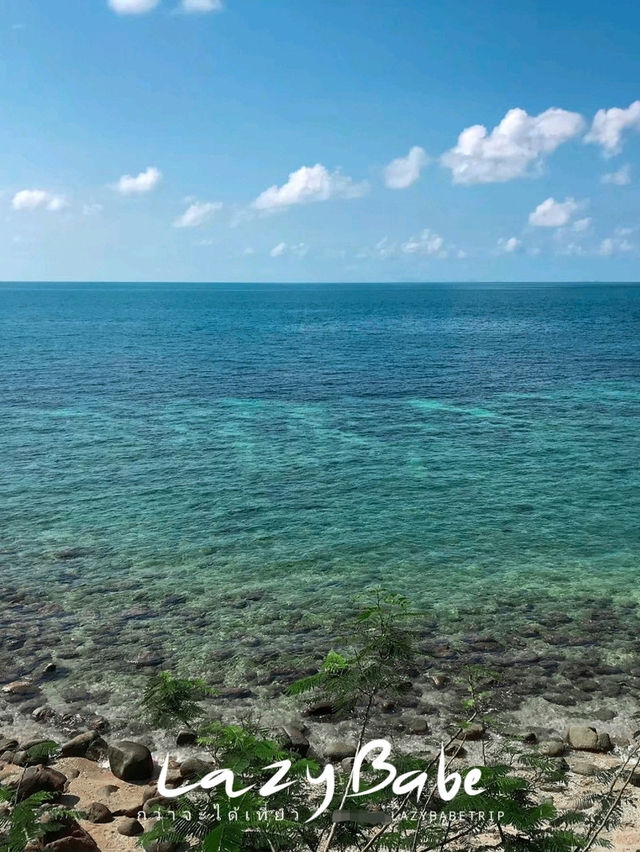 🌊Sai Daeng Resort🐢เกาะเต่า 4 วัน 3 คืน🦈ก็ไม่พอ