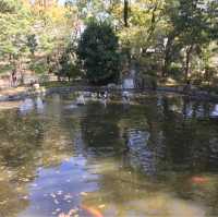 見どころだらけの広大なお寺【聖福寺】