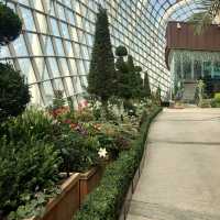 สวนขนาดยักษ์ที่สิงคโปร์ Gardens by the bay