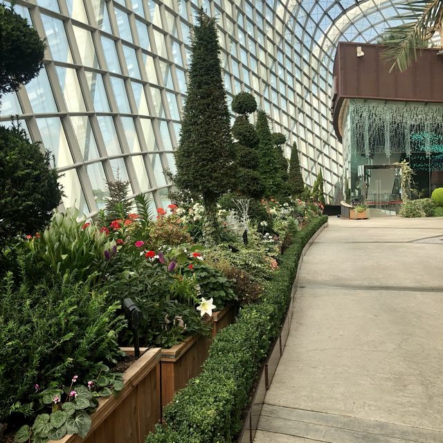 สวนขนาดยักษ์ที่สิงคโปร์ Gardens by the bay
