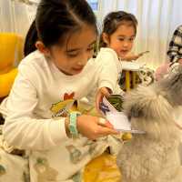 萌爆• 小兔🐰Cafe *動物控必去