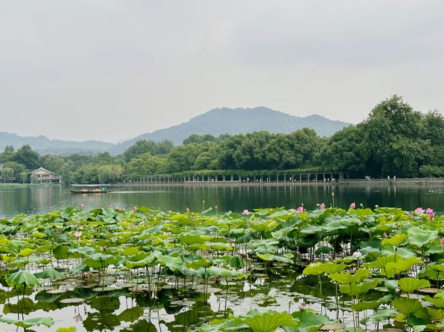 Xi Hu Lake - กลางสายฝน 