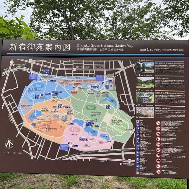 도쿄는 사실 공원이 핫스팟?! 신주쿠 여행에는 신주쿠 교엔까지!