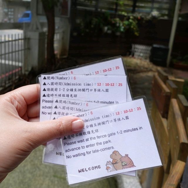 台北🐗超可愛水豚主題咖啡館