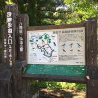 美女平 ｜自然探島步道🌲🌳🕊️