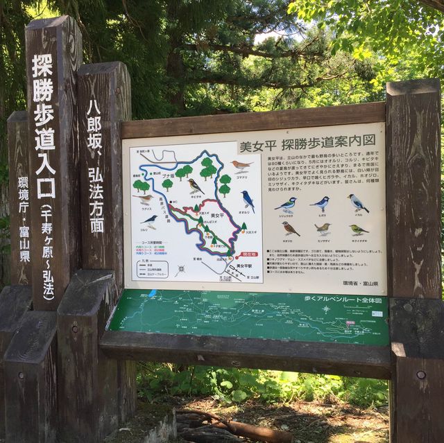 美女平 ｜自然探島步道🌲🌳🕊️