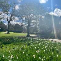 York Museum Gardens
