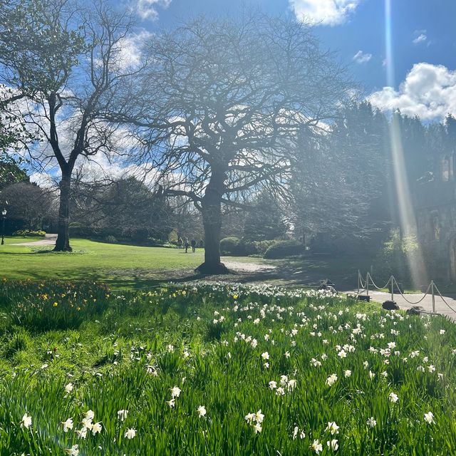 York Museum Gardens