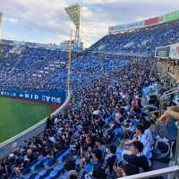 關東地區特色碗公球場-橫濱棒球場