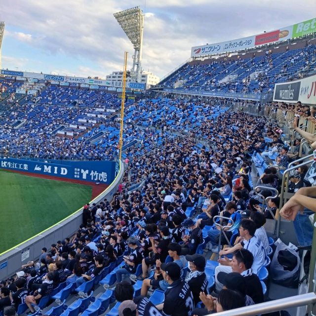 關東地區特色碗公球場-橫濱棒球場