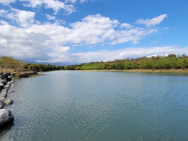 台東鹿野高台、鹿野神社｜遼闊的田園景觀、豐富的花卉可以觀賞