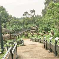 Dinasour Encounter at Zoo Malacca 