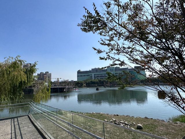 🌿 台中星泉湖：綠意盎然，柳樹倒影如畫！🏞️🌟