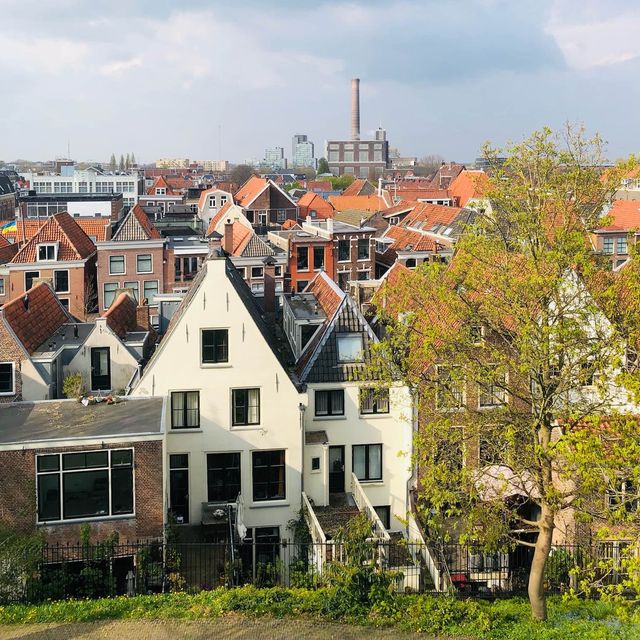 荷蘭🇳🇱萊頓🖼️🏰城堡美景Burcht van Leiden（勒頓城堡）