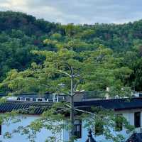 淡浮院～天堂般的亭台樓閣 🌸🏯🧘‍♂️