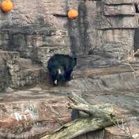 わかりやすい！大阪eco動物海洋専門学校　天王寺動物園