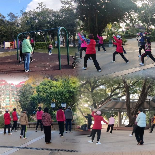 晨運緩跑~心曠神怡~花悅滿城~元朗公園