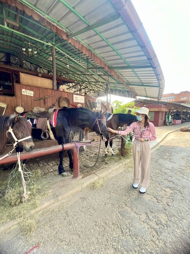 เขาใหญ่ เขาใจ 💚