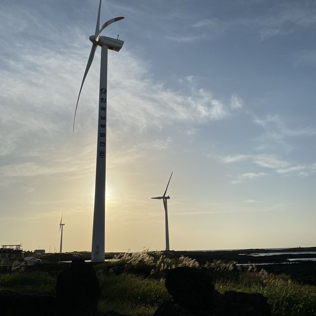 감성 넘치는 제주 핫스팟 3군데