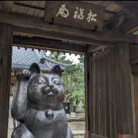 lucky cat temple 