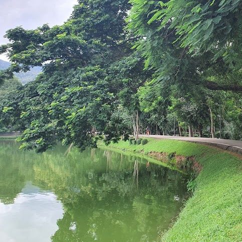 อ่างแก้ว มช.สถานที่เช็คอินของคนขี้เหงา 