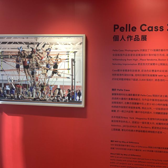 Pelle Cass首個亞洲個人展覽