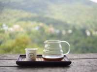 กาแฟ ภูเขา และตัวเรา ณ ปัว น่าน⛰️🌿🌱☘️🍃