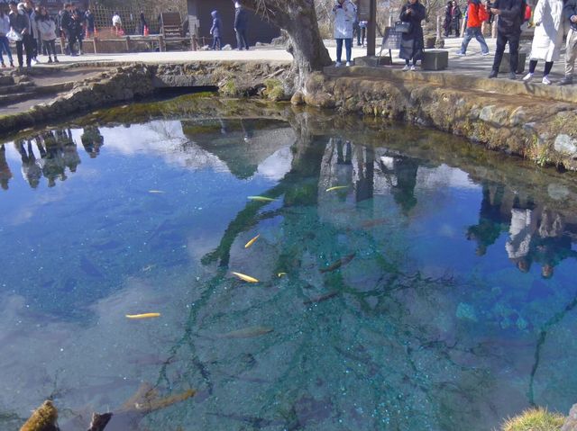 外人人気「忍野八海」