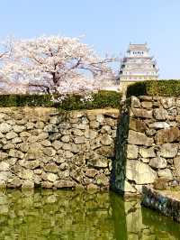 季節毎に白さ映える白鷺【世界文化遺産 姫路城】兵庫