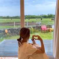 🍊제주 이색숙소 조랑말뷰 숙소 포니제주🐴
