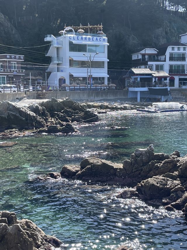 한국의 나폴리 장호항 제대로 즐기기🤿🚣‍♂️