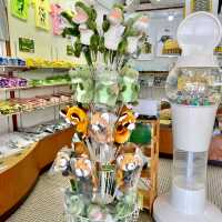 熱海バナナワニ園　チェックしてほしいグッズや限定品