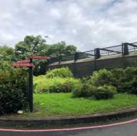 宜蘭大學
