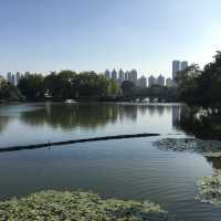 可影廣州塔倒影的公園