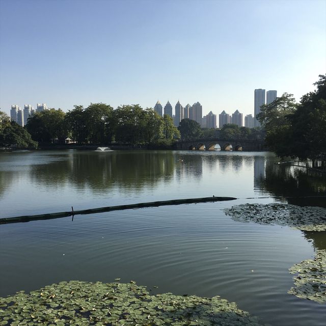 可影廣州塔倒影的公園