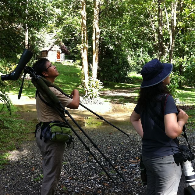 Si Phang Nga 國家公園生態遊記