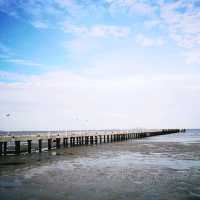 หาดวอนนภา หาดบางแสนล่าง
