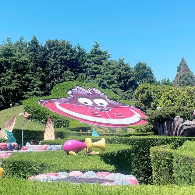 Summer In Disneyland Paris