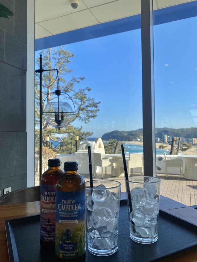 바다뷰가 멋있는 삼척 쏠비치에서 호캉스💙