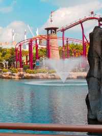 Magical Experience At Universal Studios!