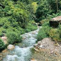 A Journey Through Himalayan Splendor